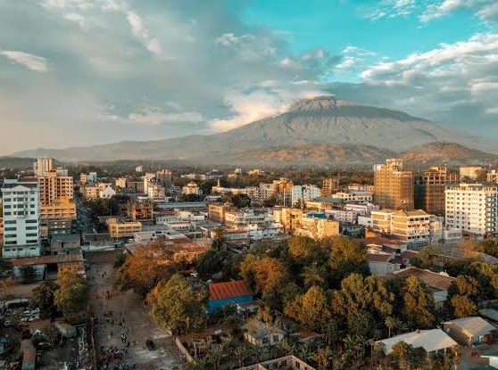 Tanzania landscape from the July 2026 program update.